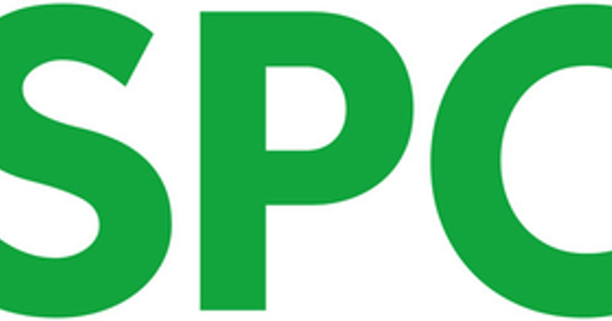 Nspcc Logo Pentagon Play Officially Partner With The NSPCC Pentagon nspcc-logo-pentagon-play-officially-partner-with-the-nspcc-pentagon