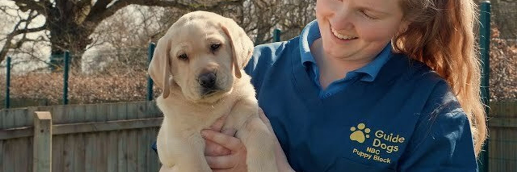 90 Years of Guide Dogs: Empowering People with Sight Loss