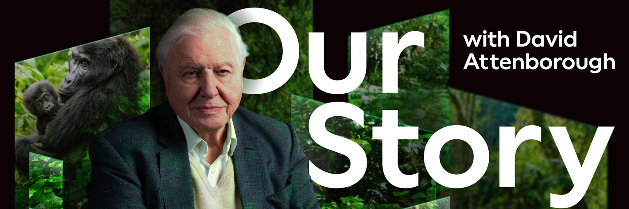 David Attenborough Turns Washington Navigating the Geopolitical Fallout Locally