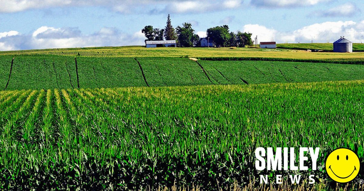 Food Forward Redirects 250 Million Pounds Of Food Smiley Movement food-forward-redirects-250-million-pounds-of-food-smiley-movement