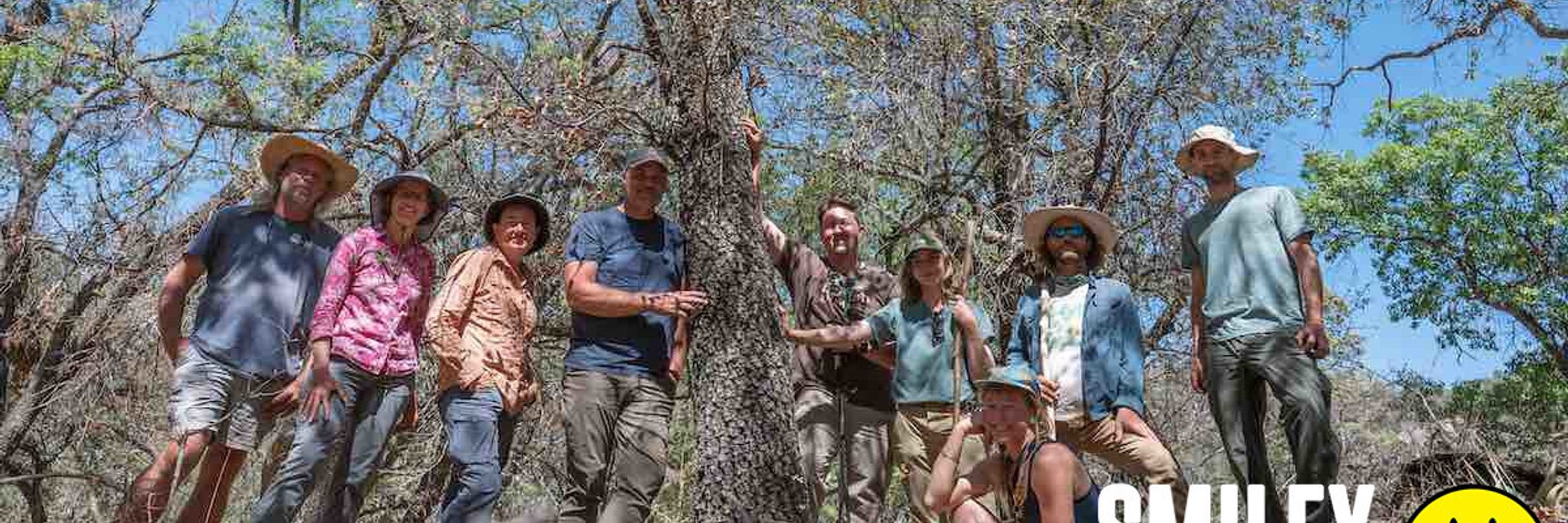Extinct Timber Rare ‘Extinct’ Oak Tree Found, Prompts Urgent Conservation